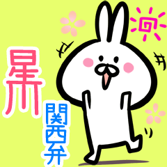 Hoshikawa 2 rabbit kansaiben myouji
