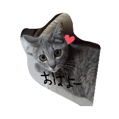 suzu_20190418024315