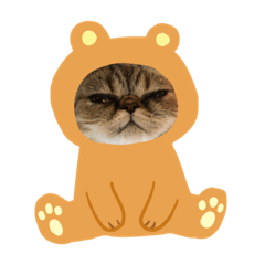啊><