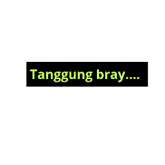 sakter bray
