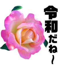 yasuおばさんの薔薇言葉3