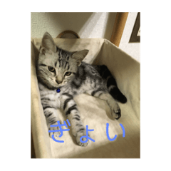 hisa_20190419193844