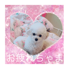 Riri_20190419232306