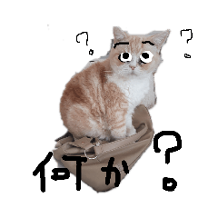 AY_20190419231215
