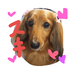azu_20190419223647