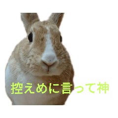 Koko_20190418183453