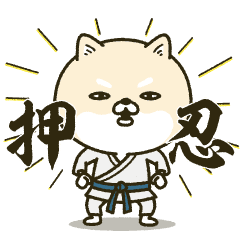 Moves Shiba dog the second 2