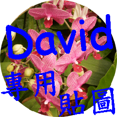 花語系列VI - 台灣美麗的花朵, David專用