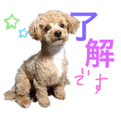 riho_20190418020640