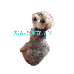 Ruru_20190420140721