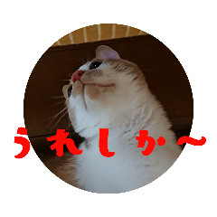 SUN_20190420195932