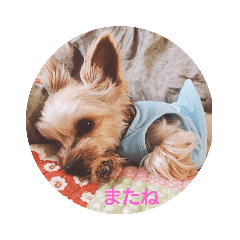 mimi_20190420230929