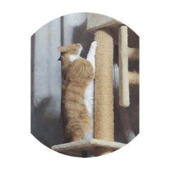 James_20190421105519