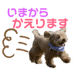 riho_20190421041801