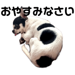 an-mi_20190421123336