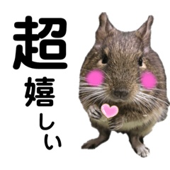 アリサんちのデグー 日常会話 -degu-family