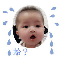 肥豬媛