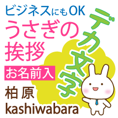 [KASHIWABARA]Big letters. animal Rabbit