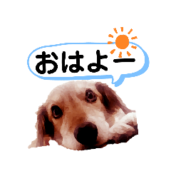 Pon_20190421174136