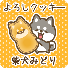 Petit Shiba Midori (Joke Sweets)