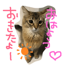 rika_20190421012633