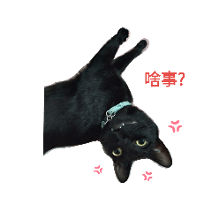 臭寶大家族