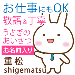 [SHIGEMATSU]Polite greeting. Rabbit