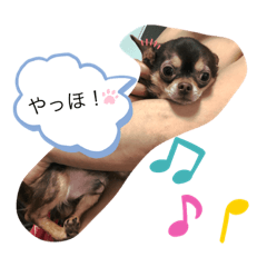 chan_20190421025436