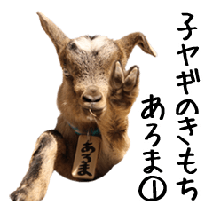 Baby Goat aroma 1 Yoshigake Farm 6