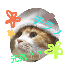 azu_20190421113531
