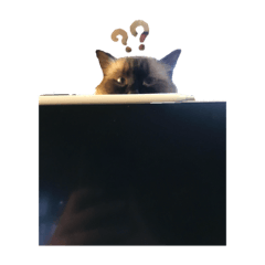 jjyu