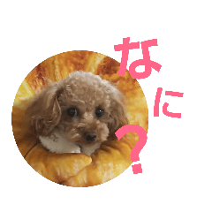 kurumi_20190421205948