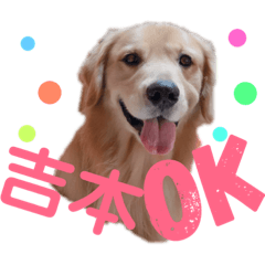 saori_20190421225328