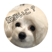 mikisuke