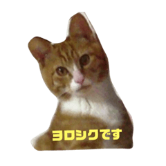 James_20190421222337