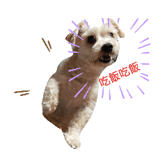 頭頭家族
