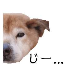 ton-coco