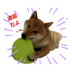 mame_20190421231140