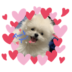 ten.dog