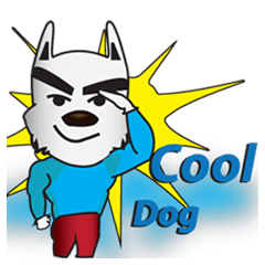 Feisty Dog Cool Cool