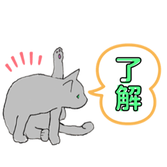 believe cat