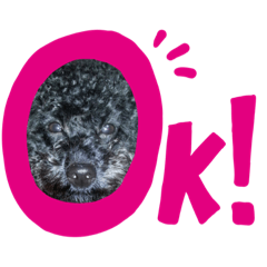 moko_2019041722582832