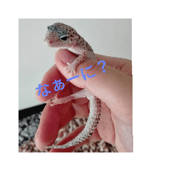 megu_20190423014816