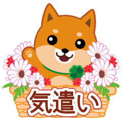 柴犬 ムサシ ２１ 気遣い Line スタンプ Line Store