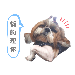 DoDo & Yuan (2)