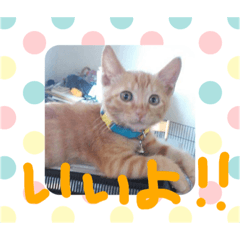 Hana and Charlie ver2