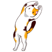45 animals of dialect cat