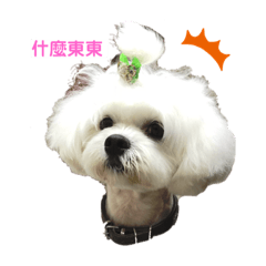 熊小圓的日常生活