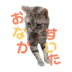 nono_20190423224105