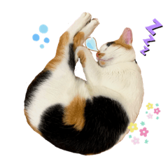 鬆餅喵與恰佩佩